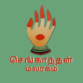 செங்காந்தள் மலர் வனம்