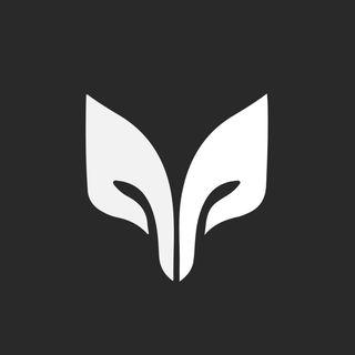 Stuffox Media
