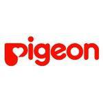 Pigeon India