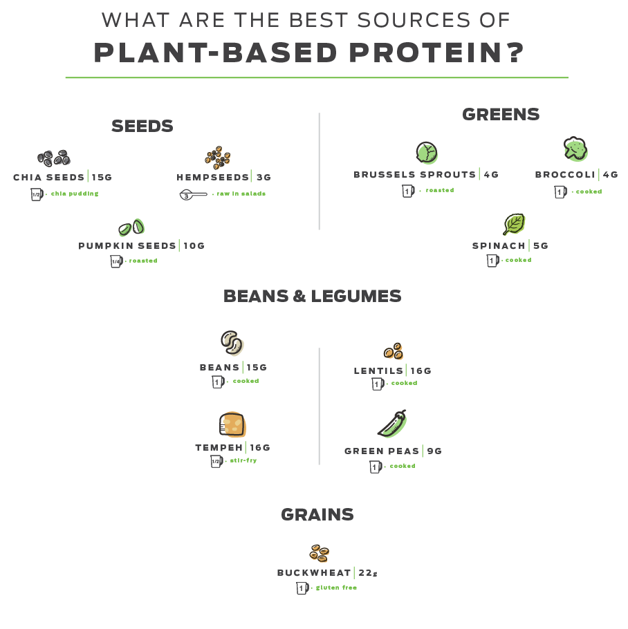 Vegan Protein Sources 