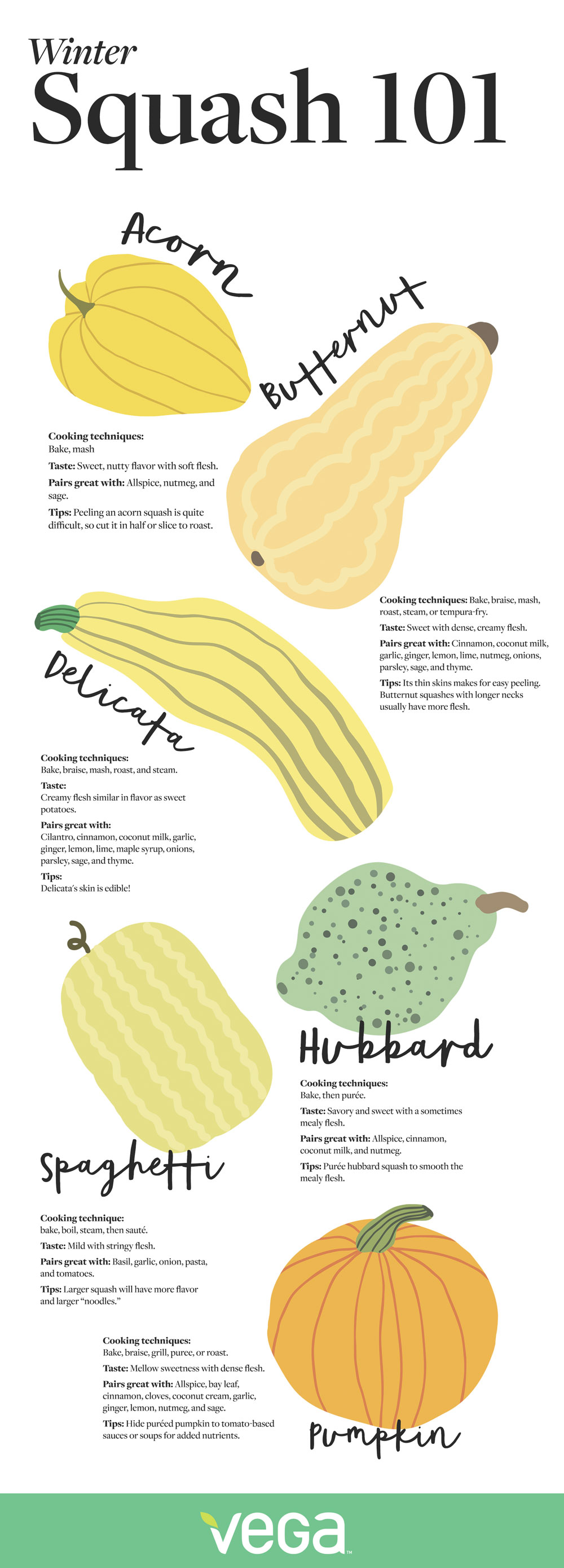 squash infographic