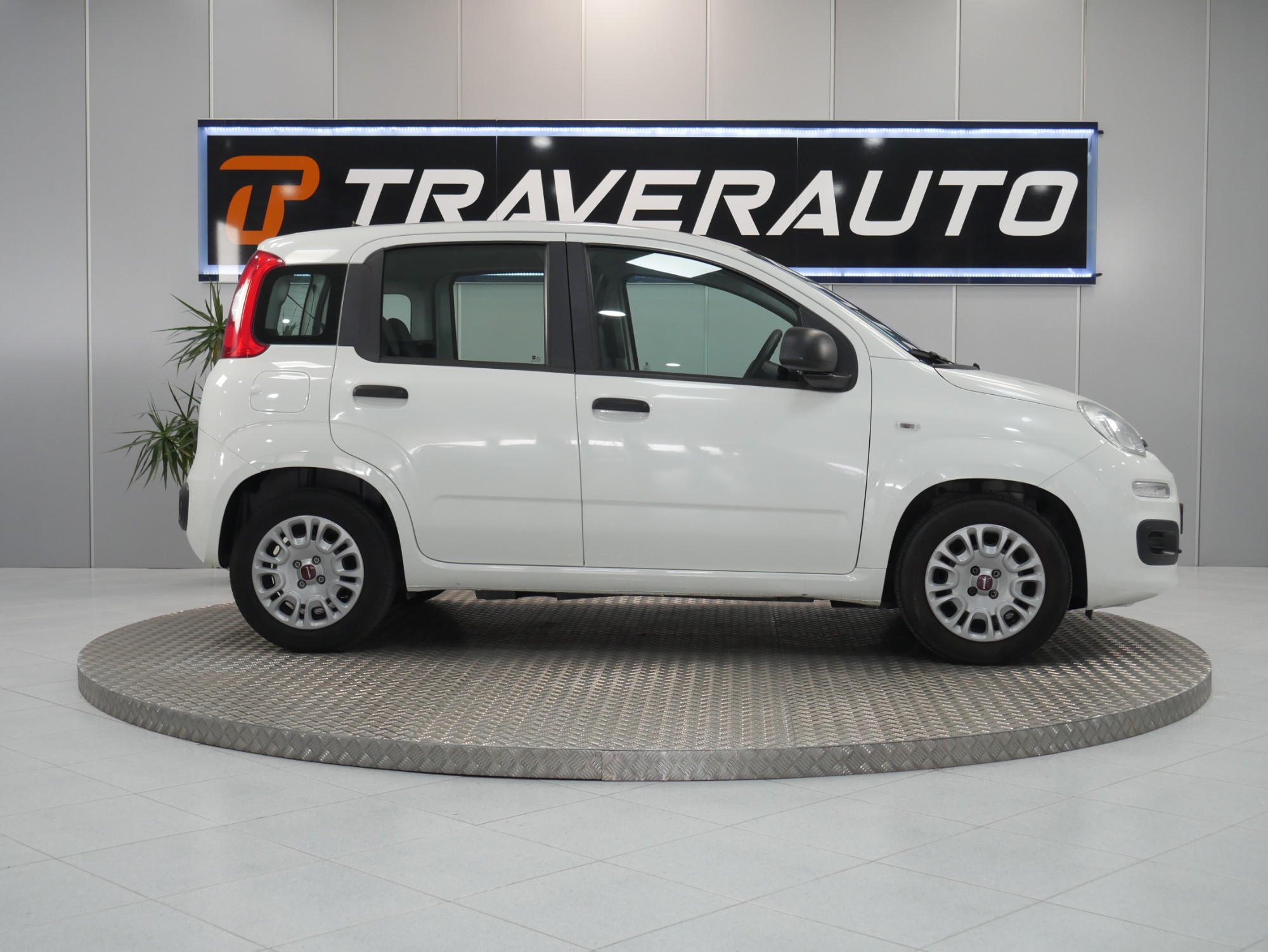 fiat panda