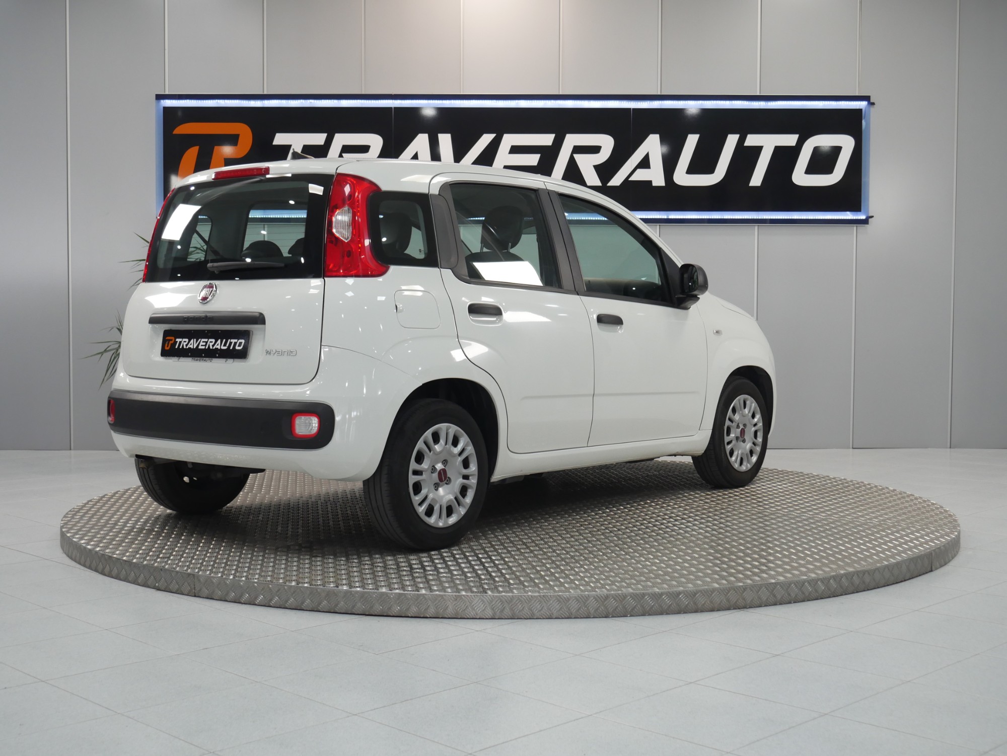 fiat panda
