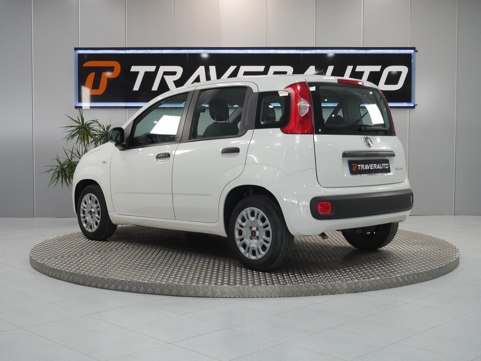 fiat panda