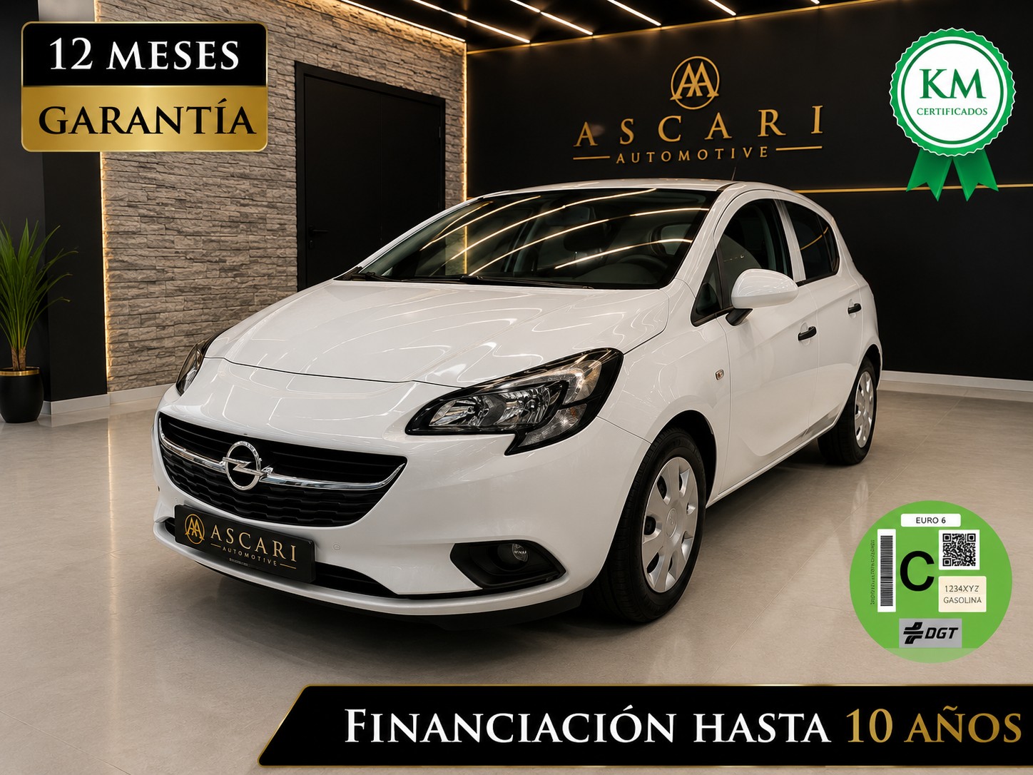 Imagen 1