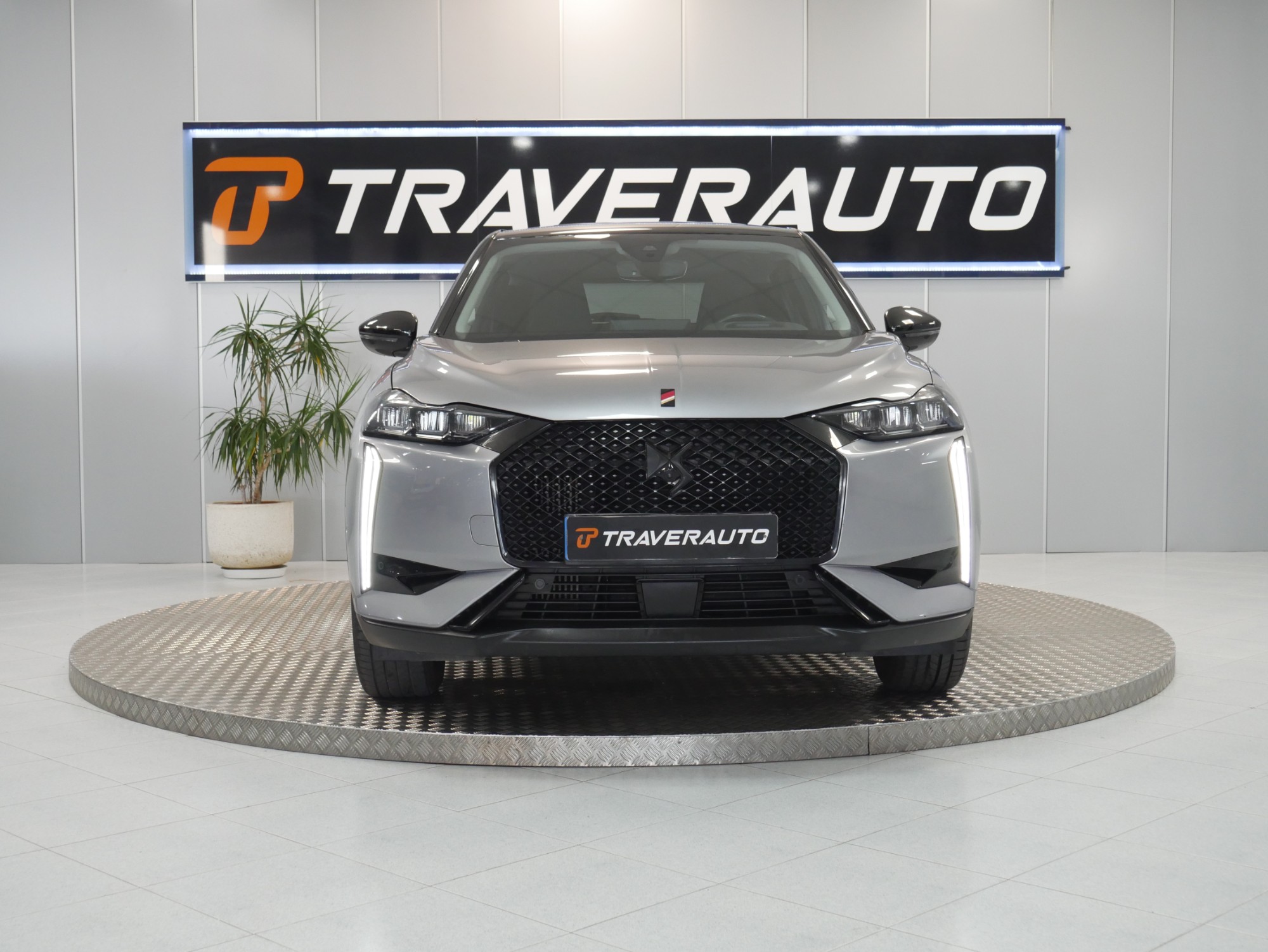 ds ds 3