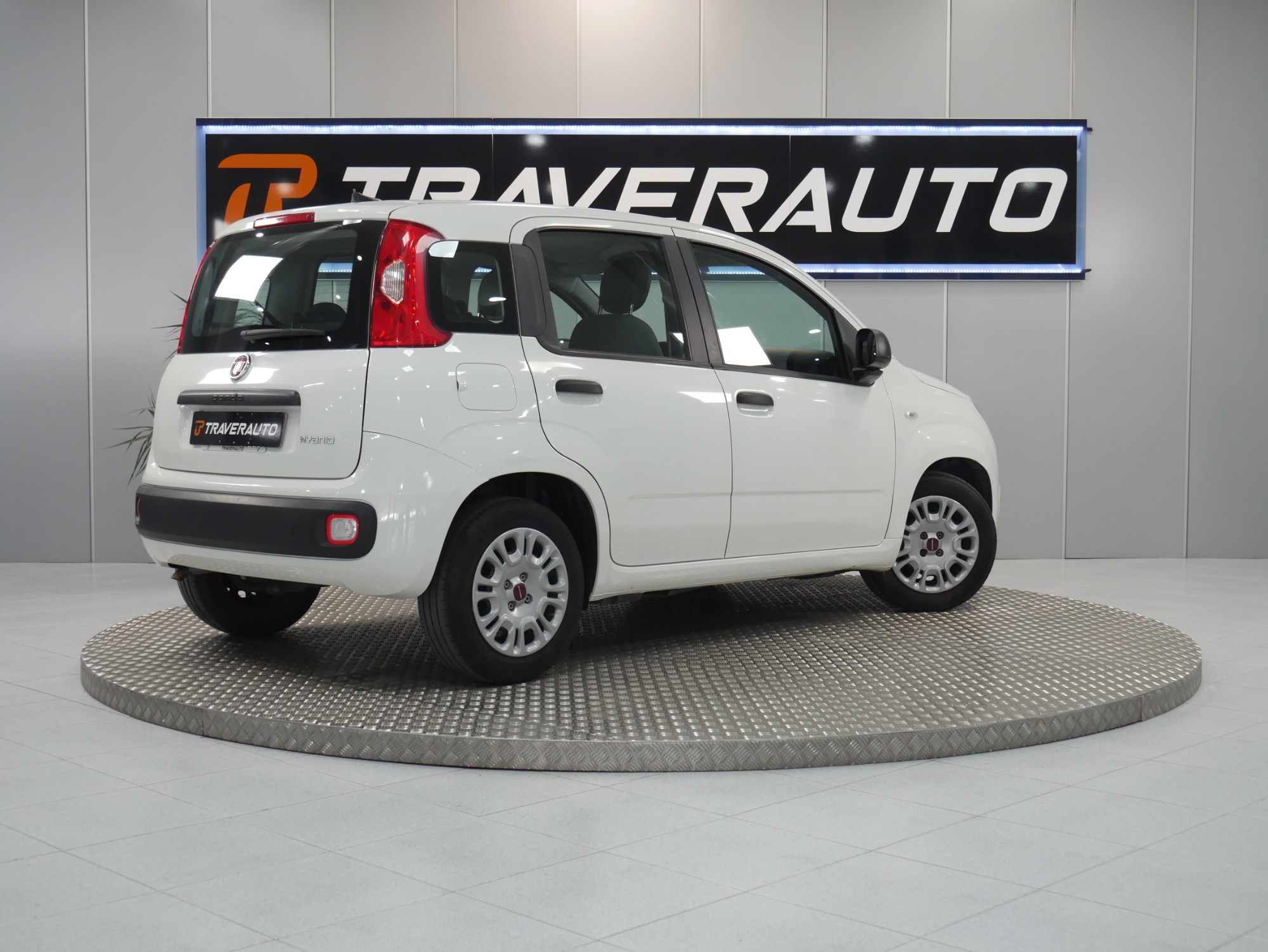 fiat panda