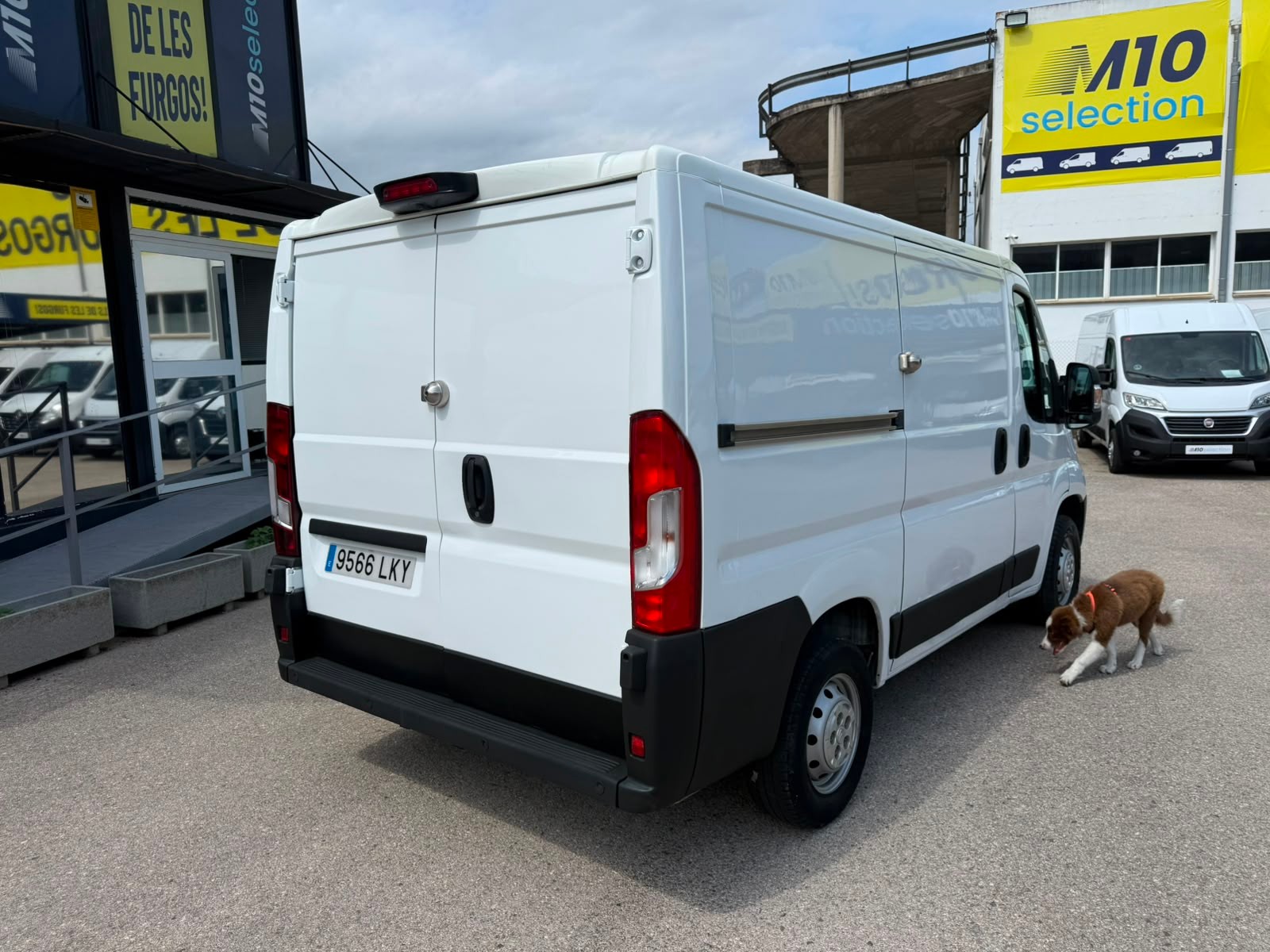 Imatge del vehicle 4
