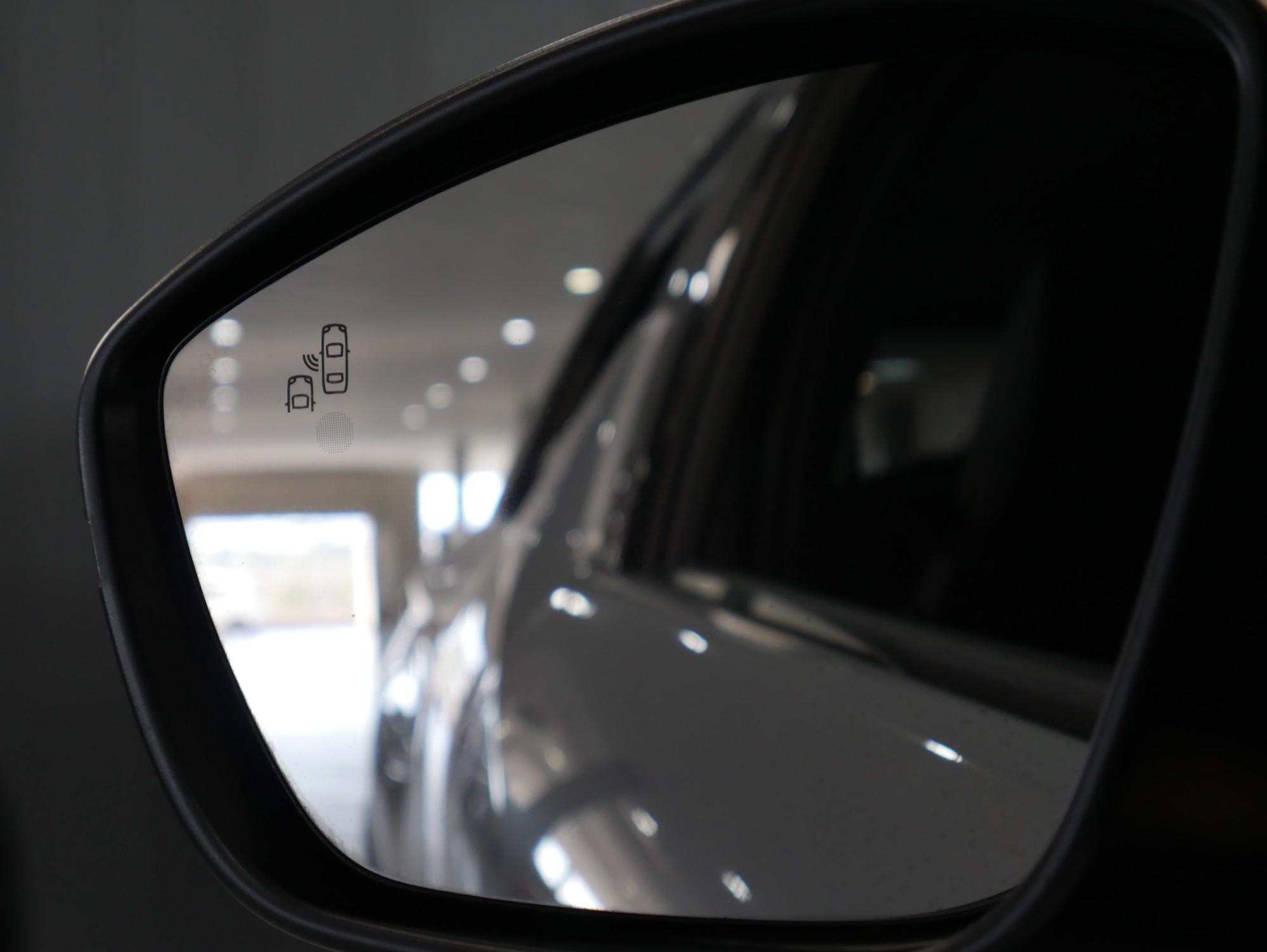 ds ds 3