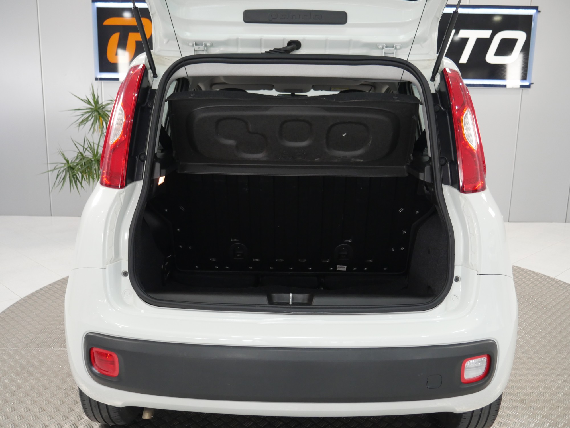 fiat panda