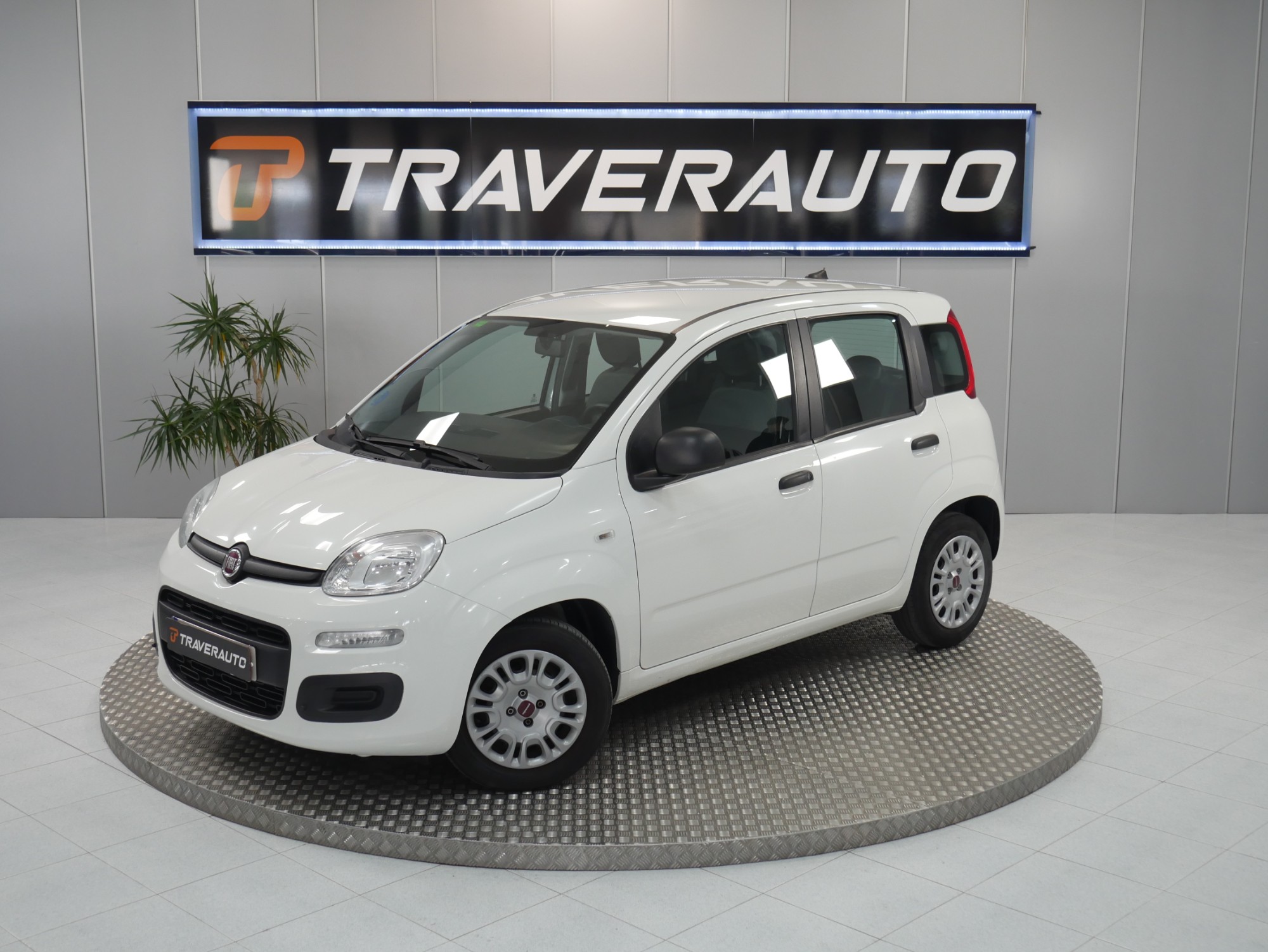 fiat panda