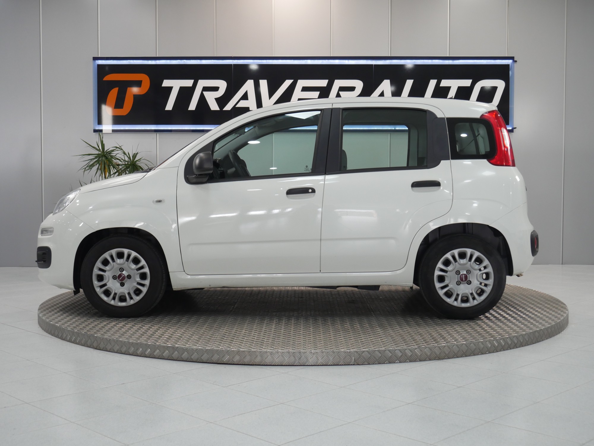 fiat panda