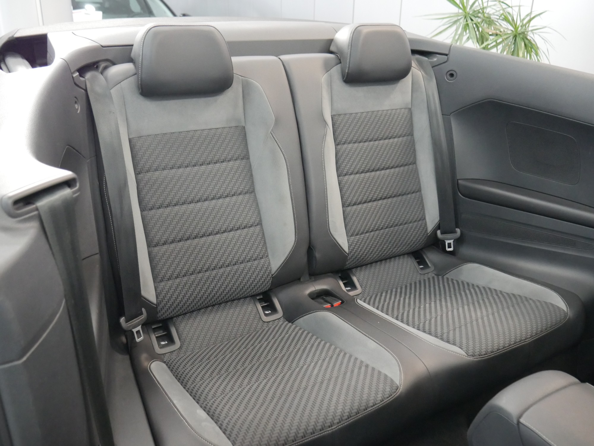 volkswagen troc