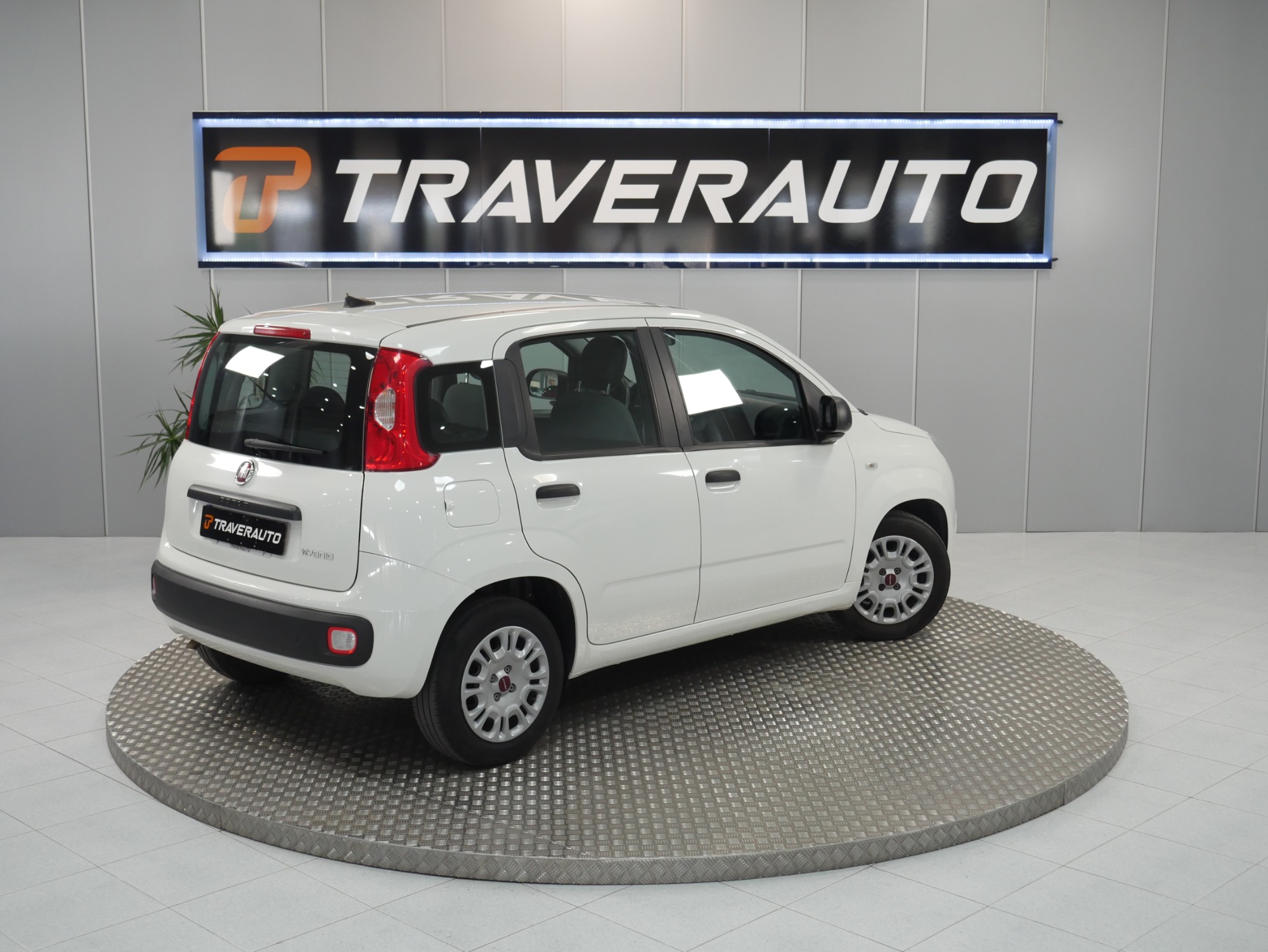 fiat panda