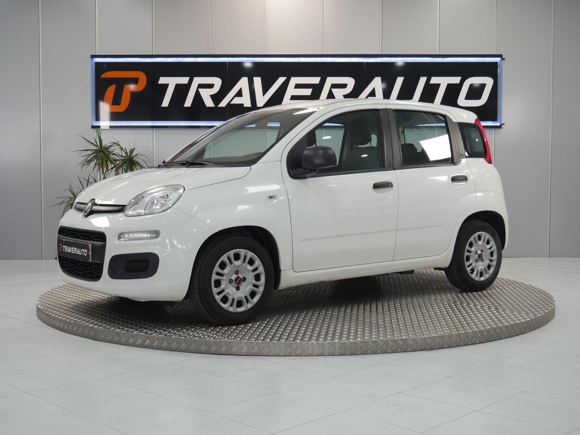 fiat panda