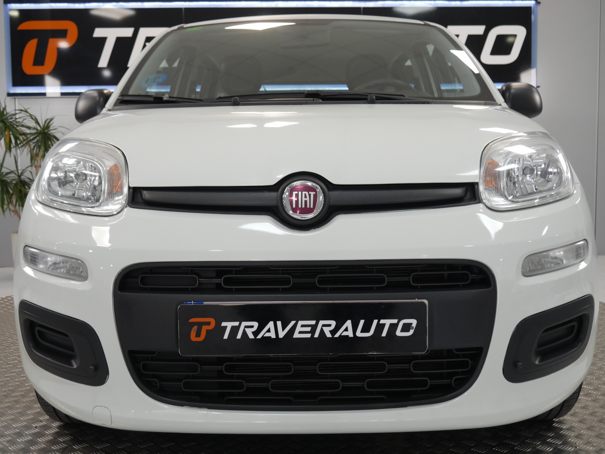 fiat panda