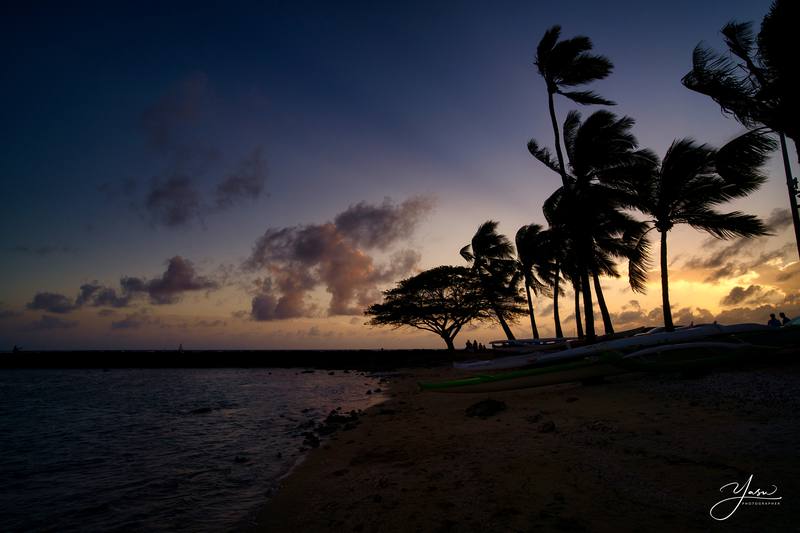 Current situation in Hawaii, Oahu and Destination updates. #1