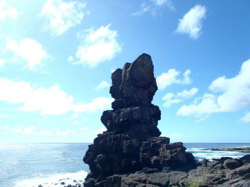 ハワイ、オアフ島の現状と新型コロナに関する現地情報 1枚目の写真