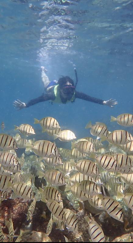 ハワイ、オアフ島の現状と観光地の様子 3枚目の写真