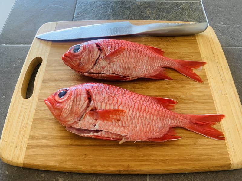 ハワイ、オアフ島の現状と観光地の様子 2枚目の写真
