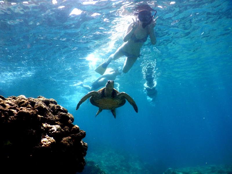 ハワイ、オアフ島の現状と観光地の様子 1枚目の写真