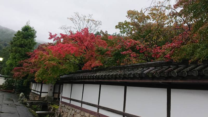 日本、京都の現状と観光地の様子 1枚目の写真