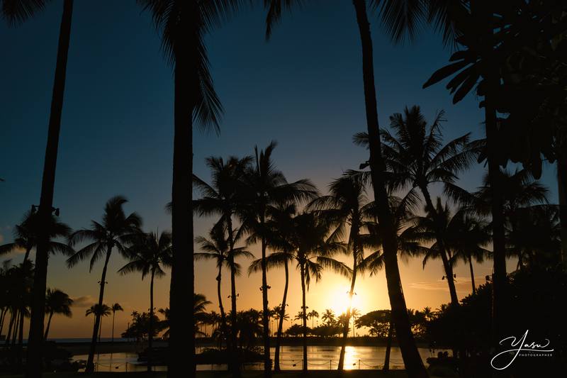 Current situation in Hawaii, Oahu and Destination updates. #1