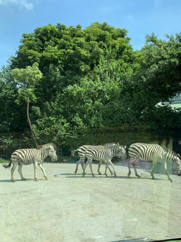 タイ、バンコクの現状とツアー催行にあたっての配慮 1枚目の写真