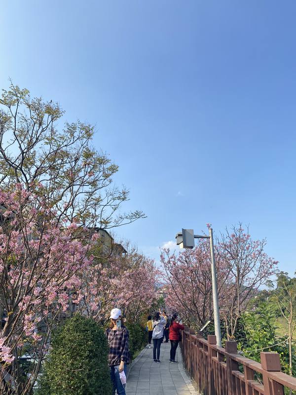 台湾、台北の現状と観光地の様子 3枚目の写真