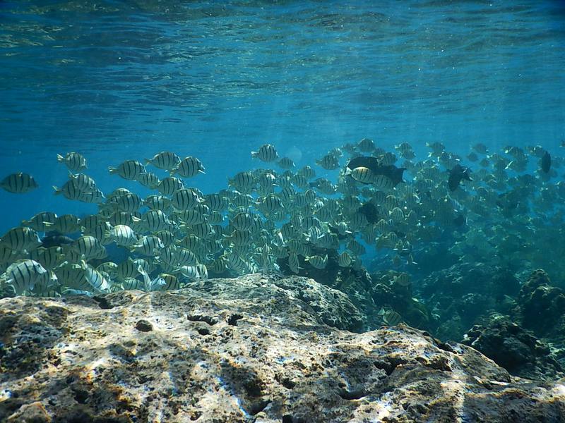 ハワイ、オアフ島の現状と観光地の様子 2枚目の写真
