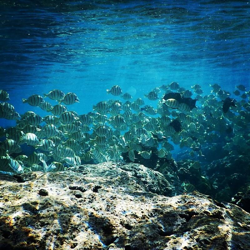 ハワイ、オアフ島の現状と観光地の様子 1枚目の写真