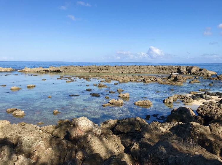 ハワイ、オアフ島の現状と現地の街の様子 2枚目の写真