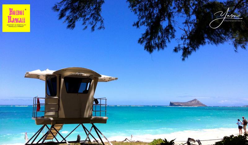 Current situation in Hawaii, Oahu and Destination updates. #1