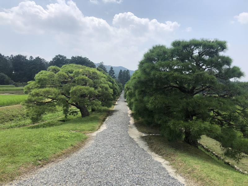 日本、京都の現状と観光地の様子 3枚目の写真