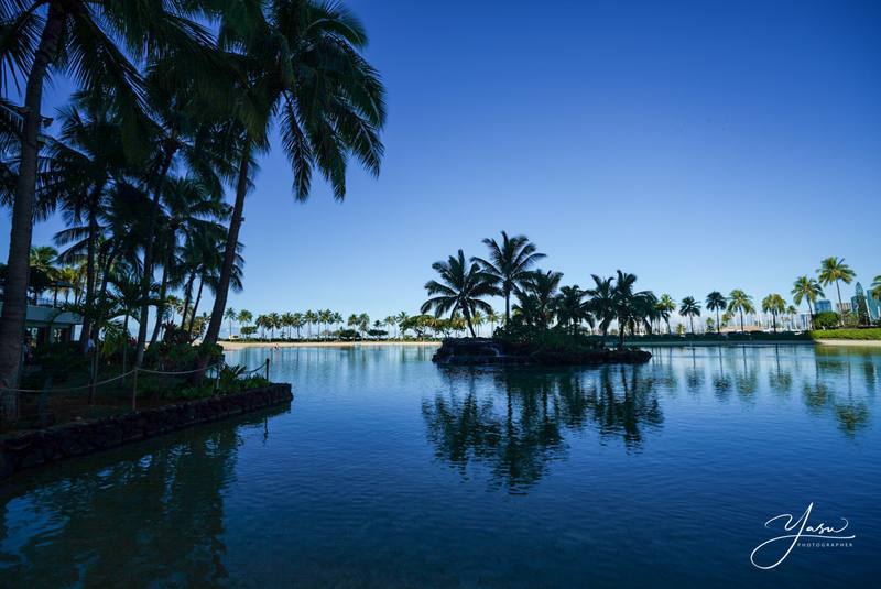 Current situation in Hawaii, Oahu and Destination updates. #1