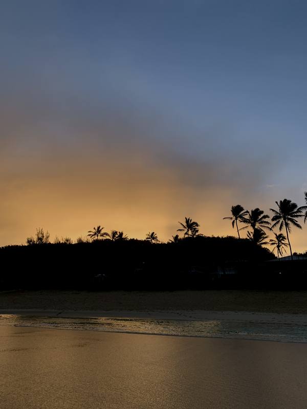 ハワイ、オアフ島の現状と観光地の様子 2枚目の写真