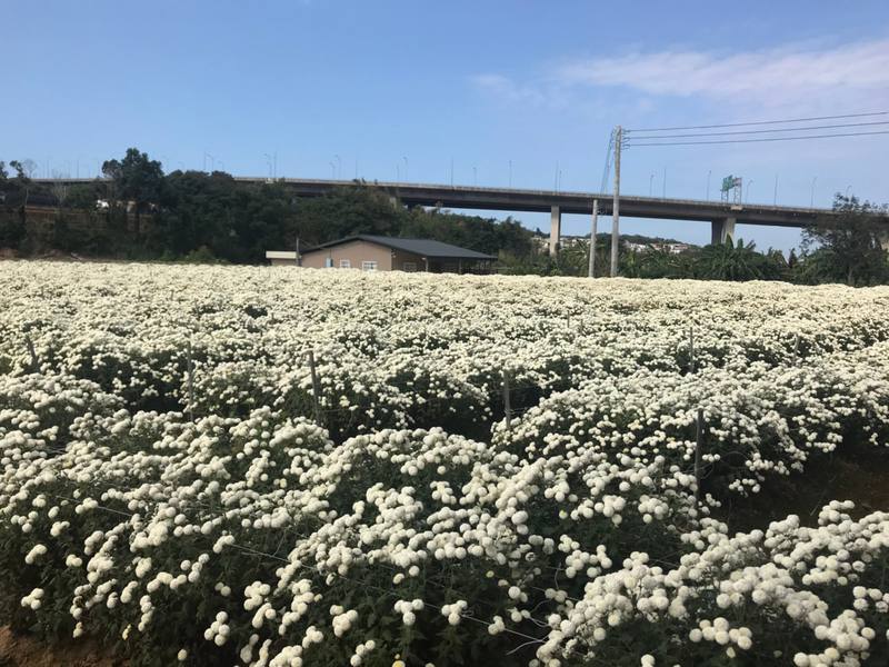 台湾、台北の現状と観光地の様子 3枚目の写真