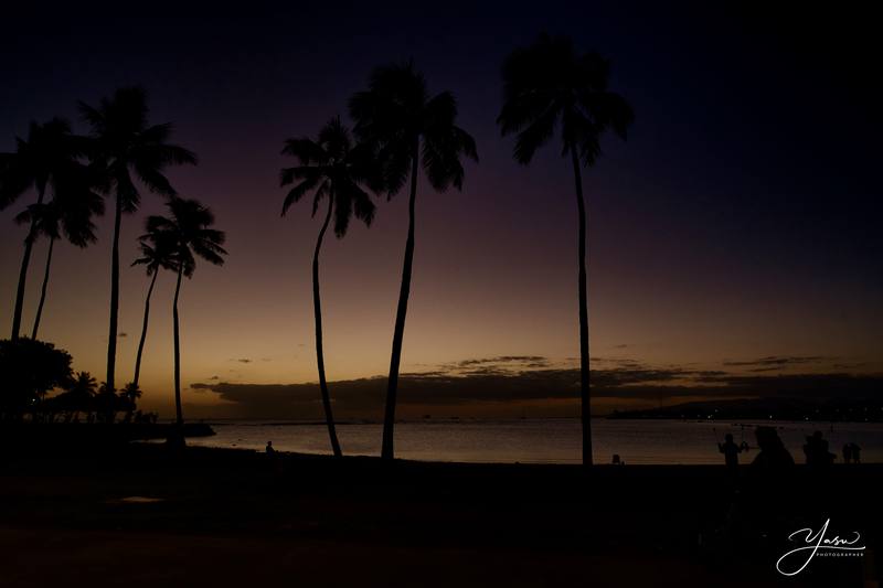 Current situation in Hawaii, Oahu and Destination updates. #1