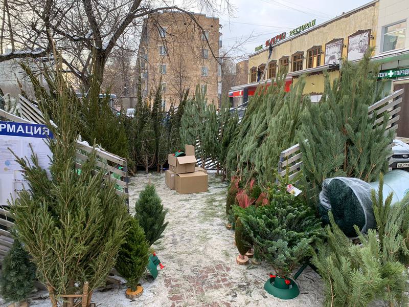 ロシア、モスクワの現状と現地の街の様子 1枚目の写真