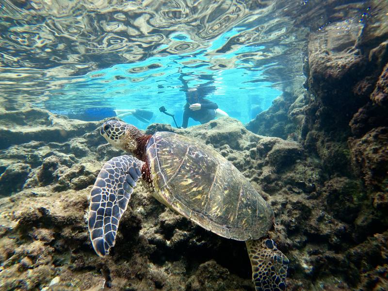 ハワイ、オアフ島の現状と観光地の様子 1枚目の写真