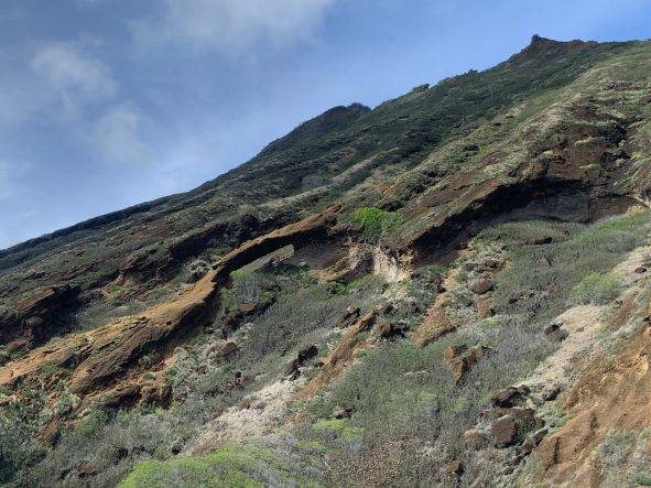 ハワイ、オアフ島の現状と観光地の様子 2枚目の写真