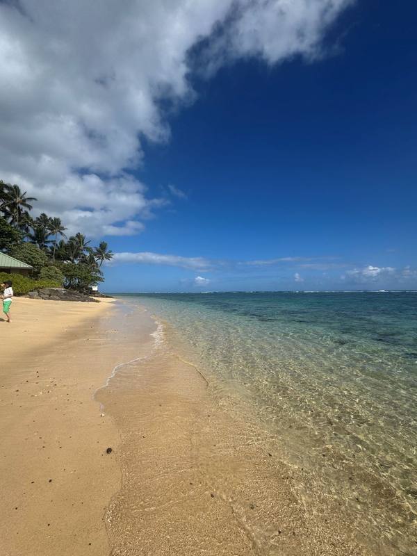 Current situation in Hawaii, Oahu and Destination updates. #1