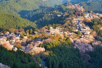吉野観光の究極モデルコースを紹介｜2日間で巡る歴史と風景