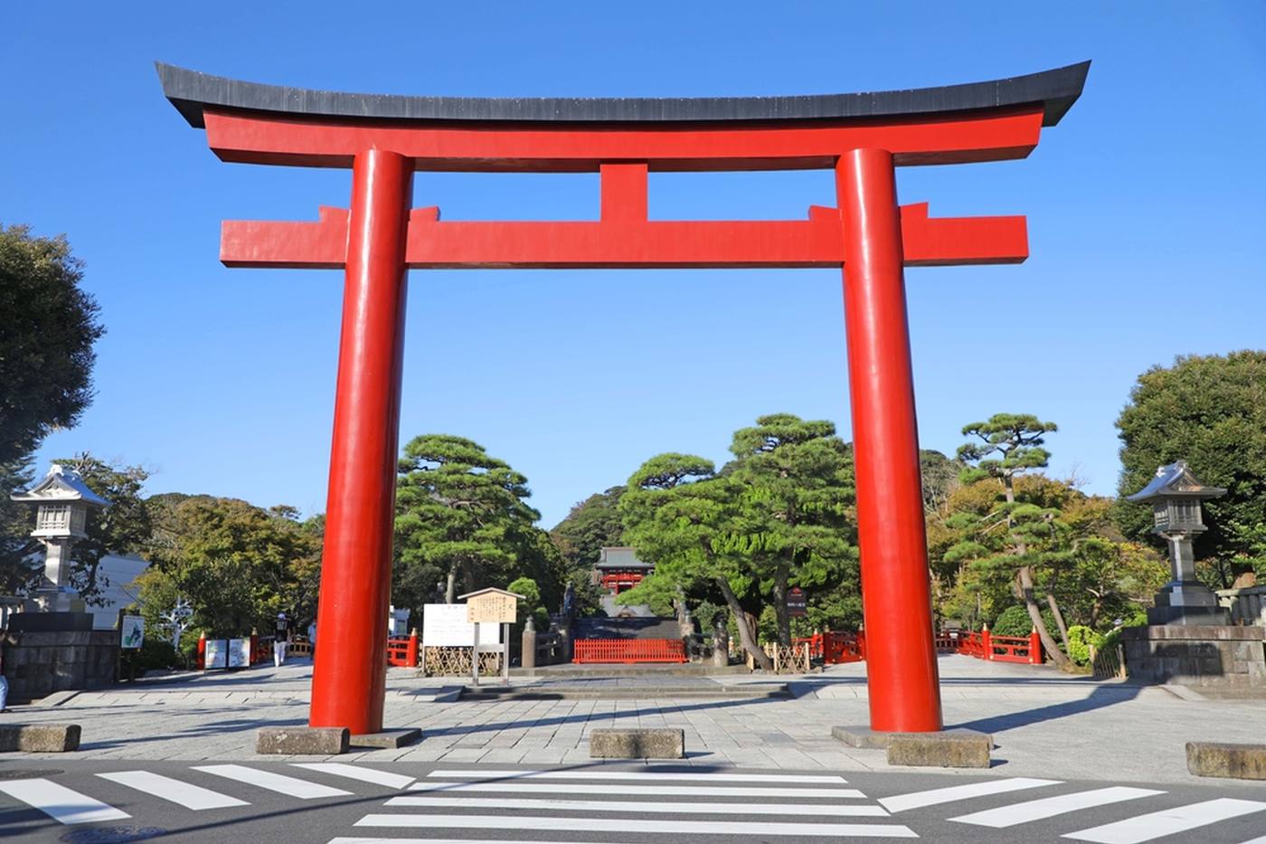 【神奈川】古都鎌倉の名所「鎌倉鶴岡八幡宮」を巡ってみよう！歴史と紫陽花を堪能する旅 image