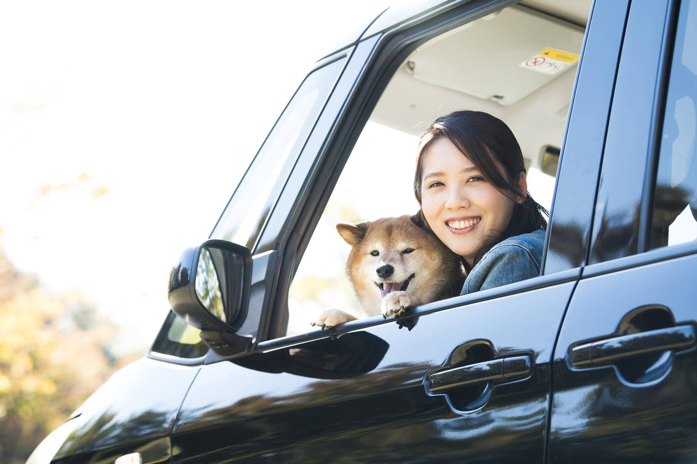 ペットと一緒におでかけ！静岡県伊豆・熱海・伊東エリアでワンちゃんと一緒に楽しめるアクティビティ＆観光名所をご紹介 image