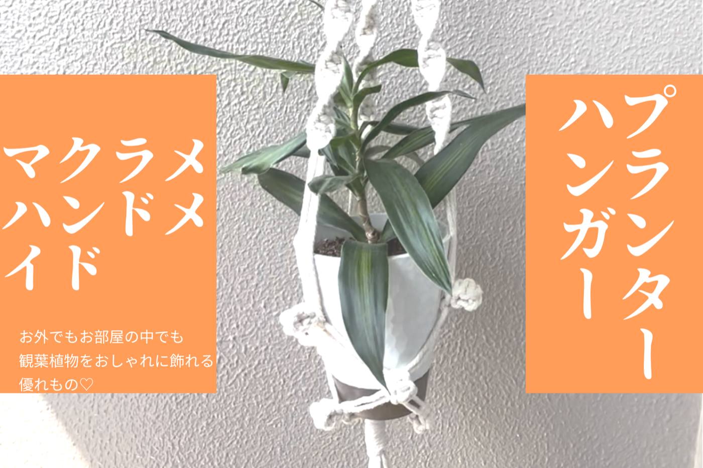【ハンドメイド】お部屋に植物を飾れる♡ マクラメプランターハンガーの作り方 image