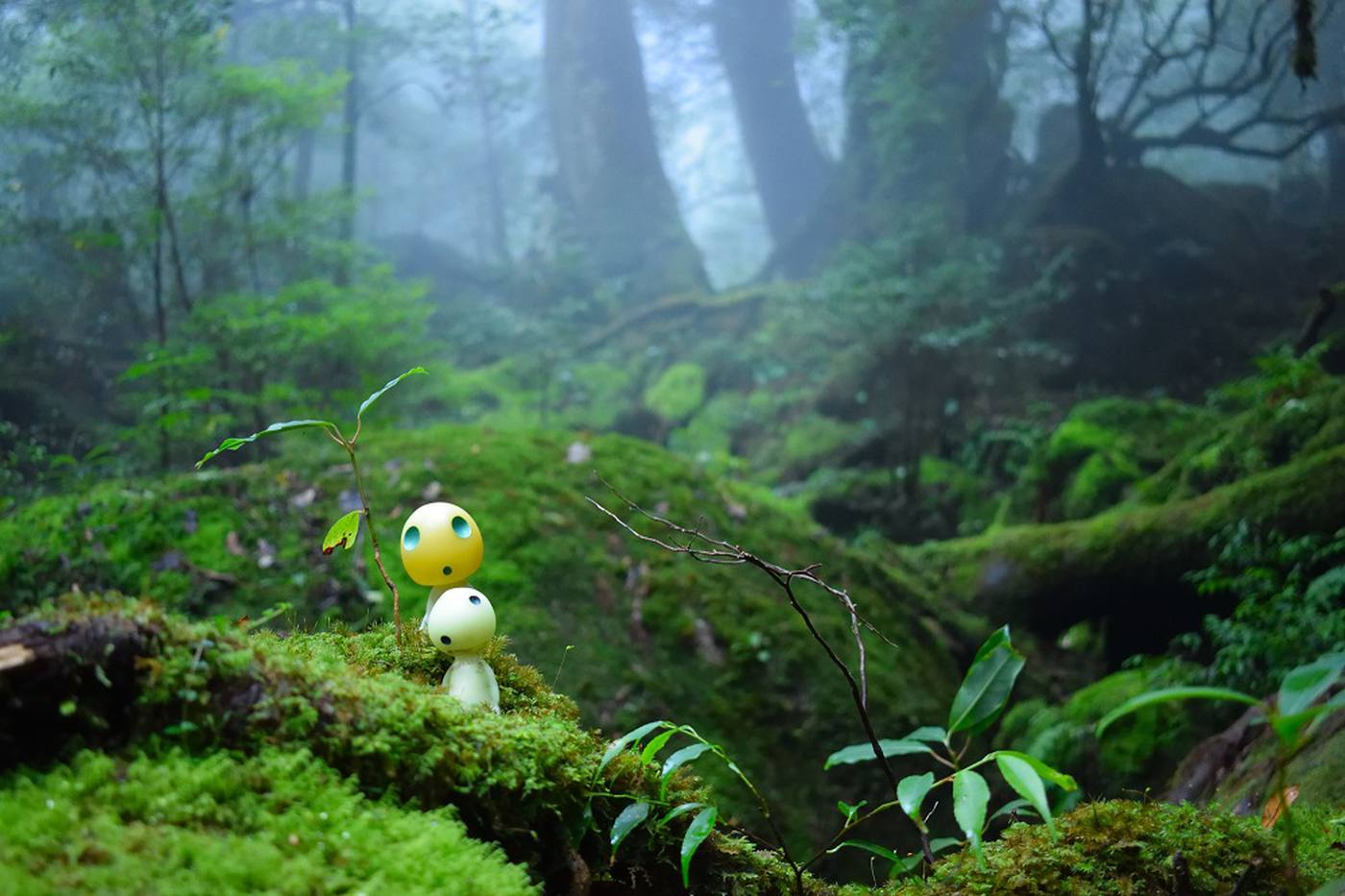 屋久島旅行を制する3つのポイント!失敗しないホテル・宿選び image