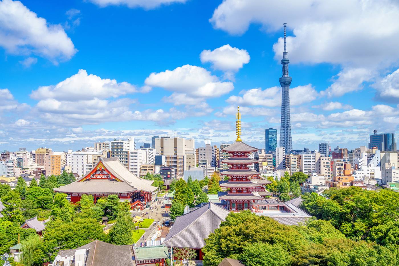 【2月2日は夫婦の日】夫婦で楽しむ下町散策！浅草寺～東京スカイツリー～プラネタリム image