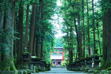 【山梨県・静岡県】富士山が御神体・富士山周辺の「浅間神社」8つをご紹介