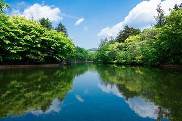 Top 9 Recommended Popular Tourist Spots in Karuizawa! Shopping, Nature, and Hot Spring Info Included!